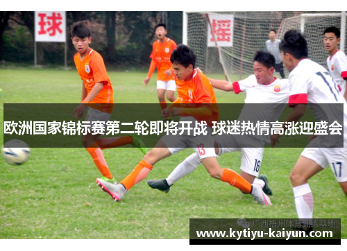 欧洲国家锦标赛第二轮即将开战 球迷热情高涨迎盛会
