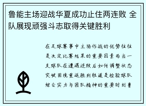 鲁能主场迎战华夏成功止住两连败 全队展现顽强斗志取得关键胜利