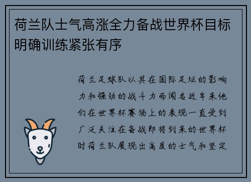 荷兰队士气高涨全力备战世界杯目标明确训练紧张有序