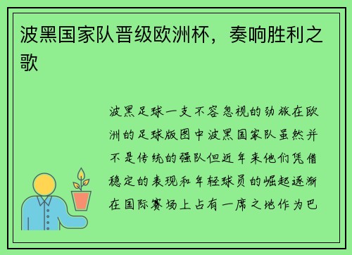 波黑国家队晋级欧洲杯,奏响胜利之歌