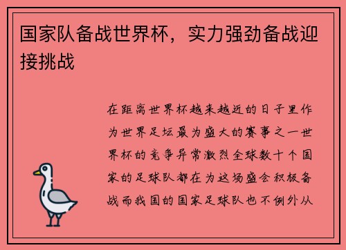 国家队备战世界杯,实力强劲备战迎接挑战